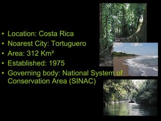 Location: Costa Rica Noarest City: Tortuguero Area: 312 Km ² Established: 1975 Governing body: National System of Conservation Area (SINAC) 