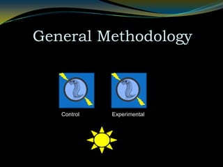 General MethodologyControlExperimental