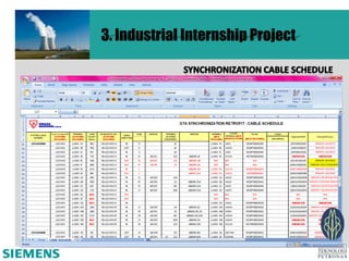 3. Industrial Internship Project
 