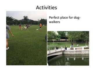Activities
Perfect place for dog-
walkers
 
