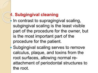 4. Subgingival cleaning
 In contrast to supragingival scaling,
subgingival scaling is the least visible
part of the procedure for the owner, but
is the most important part of the
procedure for the patient.
 Subgingival scaling serves to remove
calculus, plaque, and toxins from the
root surfaces, allowing normal re-
attachment of periodontal structures to
the root.
 
