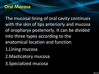 Oral Mucosa
The mucosal lining of oral cavity continues
with the skin of lips anteriorly and mucosa
of oropharyx posteriorly. It can be divided
into three types according to the
anatomical location and function
1.Lining mucosa
2.Masticatory mucosa
3.Specialized mucosa
 