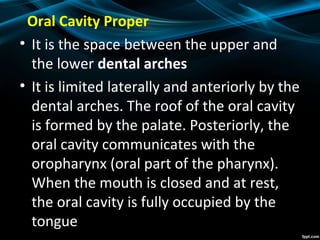 Oral Cavity Proper
• It is the space between the upper and
the lower dental arches
• It is limited laterally and anteriorly by the
dental arches. The roof of the oral cavity
is formed by the palate. Posteriorly, the
oral cavity communicates with the
oropharynx (oral part of the pharynx).
When the mouth is closed and at rest,
the oral cavity is fully occupied by the
tongue
 