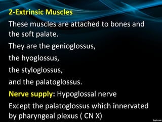 2-Extrinsic Muscles
These muscles are attached to bones and
the soft palate.
They are the genioglossus,
the hyoglossus,
the styloglossus,
and the palatoglossus.
Nerve supply: Hypoglossal nerve
Except the palatoglossus which innervated
by pharyngeal plexus ( CN X)
 
