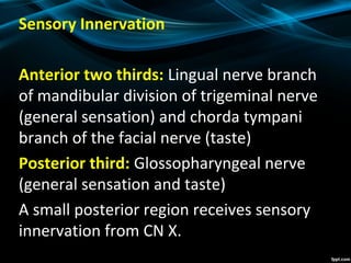 Sensory Innervation
Anterior two thirds: Lingual nerve branch
of mandibular division of trigeminal nerve
(general sensation) and chorda tympani
branch of the facial nerve (taste)
Posterior third: Glossopharyngeal nerve
(general sensation and taste)
A small posterior region receives sensory
innervation from CN X.
 