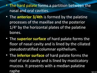 • The hard palate forms a partition between the
nasal and oral cavities.
• The anterior 3/4th is formed by the palatine
processes of the maxillae and the posterior
1/4th
by the horizontal plates of the palatine
bones.
• The superior surface of hard palate forms the
floor of nasal cavity and is lined by the ciliated
pseudostratified columnar epithelium.
• The inferior surface of hard palate forms the
roof of oral cavity and is lined by masticatory
mucosa. It presents with a median palatine
raphe
 