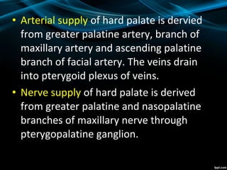 • Arterial supply of hard palate is dervied
from greater palatine artery, branch of
maxillary artery and ascending palatine
branch of facial artery. The veins drain
into pterygoid plexus of veins.
• Nerve supply of hard palate is derived
from greater palatine and nasopalatine
branches of maxillary nerve through
pterygopalatine ganglion.
 