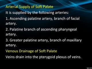 Arterial Supply of Soft Palate
It is supplied by the following arteries:
1. Ascending palatine artery, branch of facial
artery.
2. Palatine branch of ascending pharyngeal
artery.
3. Greater palatine artery, branch of maxillary
artery.
Venous Drainage of Soft Palate
Veins drain into the pterygoid plexus of veins.
 
 