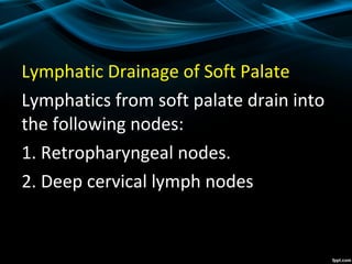 Lymphatic Drainage of Soft Palate
Lymphatics from soft palate drain into
the following nodes:
1. Retropharyngeal nodes.
2. Deep cervical lymph nodes
 