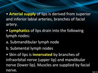 • Arterial supply of lips is derived from superior
and inferior labial arteries, branches of facial
artery.
• Lymphatics of lips drain into the following
lymph nodes:
a. Submandibular lymph node
b. Submental lymph nodes
• Skin of lips is innervated by branches of
infraorbital nerve (upper lip) and mandibular
nerve (lower lip). Muscles are supplied by facial
nerve.
 