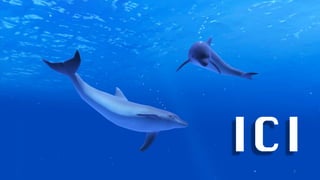 Réalité virtuelle
7
ICI
 