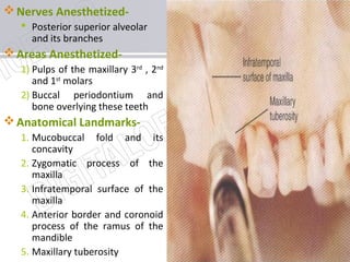 www.themegallery.com
Nerves Anesthetized-
 Posterior superior alveolar
and its branches
Areas Anesthetized-
1) Pulps of the maxillary 3rd
, 2nd
and 1st
molars
2) Buccal periodontium and
bone overlying these teeth
Anatomical Landmarks-
1. Mucobuccal fold and its
concavity
2. Zygomatic process of the
maxilla
3. Infratemporal surface of the
maxilla
4. Anterior border and coronoid
process of the ramus of the
mandible
5. Maxillary tuberosity
 