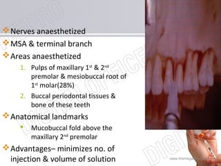 www.themegallery.com
Nerves anaesthetized
MSA & terminal branch
Areas anaesthetized
1. Pulps of maxillary 1st
& 2nd
premolar & mesiobuccal root of
1st
molar(28%)
2. Buccal periodontal tissues &
bone of these teeth
Anatomical landmarks
 Mucobuccal fold above the
maxillary 2nd
premolar
Advantages– minimizes no. of
injection & volume of solution
 