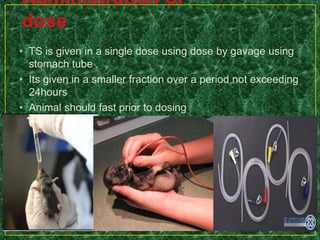 • TS is given in a single dose using dose by gavage using
stomach tube .
• Its given in a smaller fraction over a period not exceeding
24hours
• Animal should fast prior to dosing
 