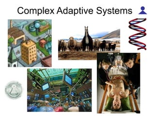 Complex Adaptive Systems
