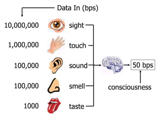 Data In (bps)10,000,000sight1,000,000touch50 bps100,000sound100,000smellconsciousness1000taste