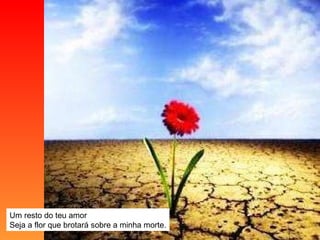 Um resto do teu amor Seja a flor que brotará sobre a minha morte. 