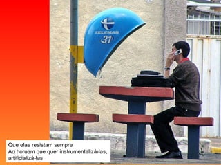 Que elas resistam sempre Ao homem que quer instrumentalizá-las, artificializá-las 