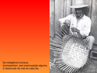 Da inteligência humana, Acompanham, sem preocupação alguma, O desenrolar da vida de cada dia. 