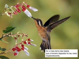 for o mais terno dos beijos que o homem deposita no teu rosto resplandecente. 