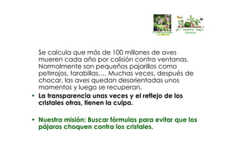Se calcula que más de 100 millones de aves
mueren cada año por colisión contra ventanas.
Normalmente son pequeños pajarillos como
petirrojos, tarabillas…. Muchas veces, después de
chocar, las aves quedan desorientadas unos
momentos y luego se recuperan.
• La transparencia unas veces y el reflejo de los
cristales otras, tienen la culpa.
• Nuestra misión: Buscar fórmulas para evitar que los
pájaros choquen contra los cristales.
El “huertín” de la
Corolla
El “huertín” de la
Corolla
 
