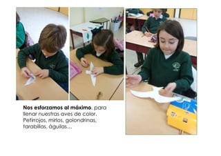 Nos esforzamos al máximo, para
llenar nuestras aves de color.
Petirrojos, mirlos, golondrinas,
tarabillas, águilas…
 