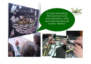 El “huertín” de la
Corolla
Un nido maravillosos
lleno de huevos de
aves asturianas y otras
que están de paso por
nuestra “tierrina”.
 