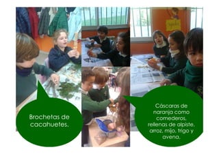 Cáscaras de
naranja como
comederos,
rellenas de alpiste,
arroz, mijo, trigo y
avena.
Brochetas de
cacahuetes.
 