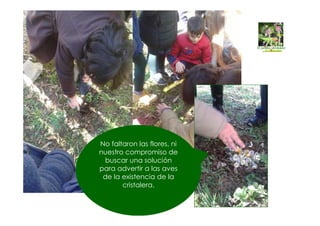 No faltaron las flores, ni
nuestro compromiso de
buscar una solución
para advertir a las aves
de la existencia de la
cristalera.
 