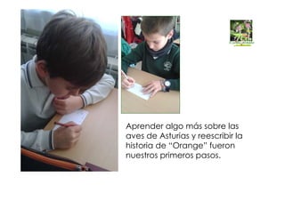 Aprender algo más sobre las
aves de Asturias y reescribir la
historia de “Orange” fueron
nuestros primeros pasos.
 