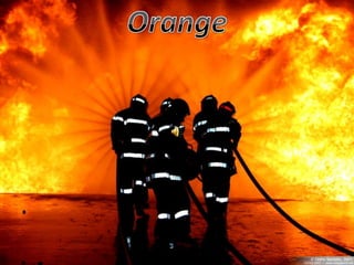 Orange 