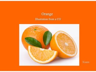 Orange   Illustration from a CO