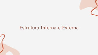 Estrutura Interna e Externa
 