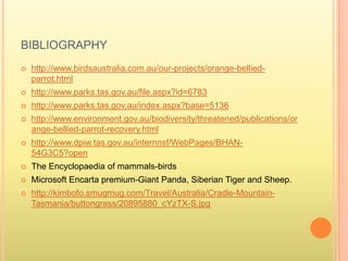 bibliographyhttp://www.birdsaustralia.com.au/our-projects/orange-bellied-parrot.htmlhttp://www.parks.tas.gov.au/file.aspx?id=6783http://www.parks.tas.gov.au/index.aspx?base=5136http://www.environment.gov.au/biodiversity/threatened/publications/orange-bellied-parrot-recovery.htmlhttp://www.dpiw.tas.gov.au/internnsf/WebPages/BHAN-54G3C5?openThe Encyclopaedia of mammals-birdsMicrosoft Encarta premium-Giant Panda, Siberian Tiger and Sheep.http://kimbofo.smugmug.com/Travel/Australia/Cradle-Mountain-Tasmania/buttongrass/20895880_cYzTX-S.jpg