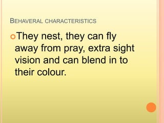 Behaveral characteristicsThey nest, they can fly away from pray, extra sight vision and can blend in to their colour.