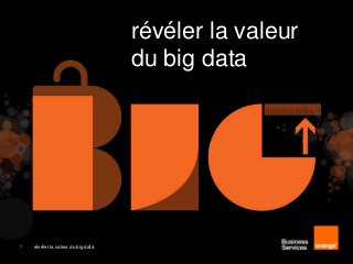 révéler la valeur
                                    du big data




1   révéler la valeur du big data
 