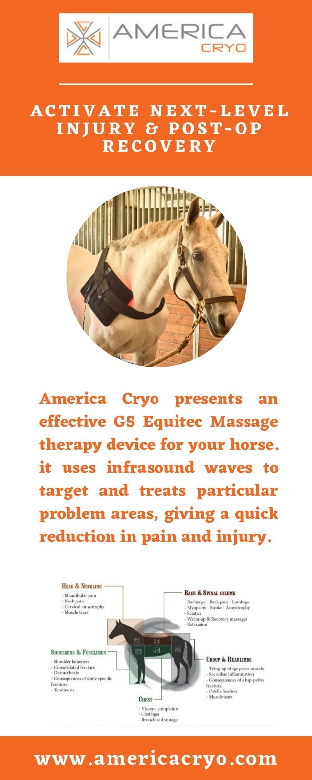 Equine Therapy Devices