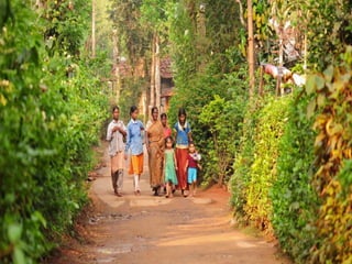 Orange county resort, coorg
