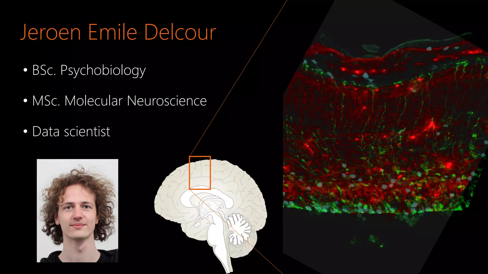 Jeroen Emile Delcour
• BSc. Psychobiology
• MSc. Molecular Neuroscience
• Data scientist
 