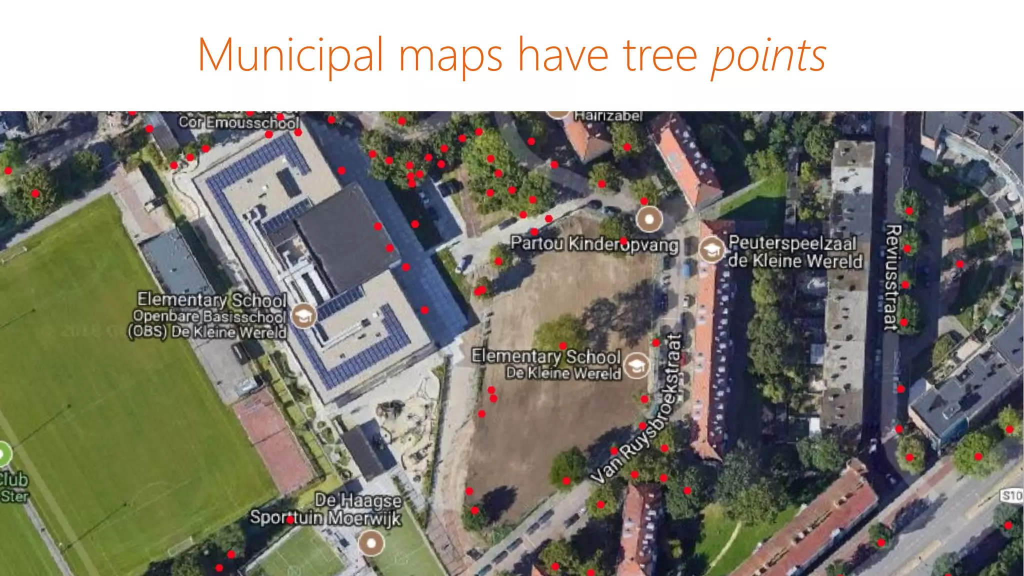 Municipal maps have tree points
 
