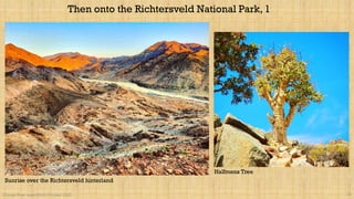 Orange River expedition October 2020 22
Then onto the Richtersveld National Park, 1
Sunrise over the Richtersveld hinterland
Halfmens Tree
 