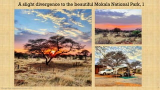 Orange River expedition October 2020 9
A slight divergence to the beautiful Mokala National Park, 1
 
