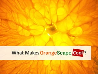 What Makes OrangeScape Cool ?


                                By sgwizdak
 