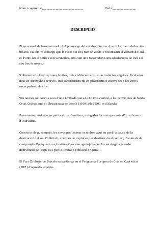 Nom i cognoms:__________________________________ Data:___________________
DESCRIPCIÓ
El guacamai de front vermell té el plomatge del cos de color verd, amb l'extrem de les ales
blaves, i la cua, més llarga que la resta del cos, també verda. Presenta nu el voltant de l'ull,
el front i les espatlles són vermelles, així com una taca rodona situada darrera de l'ull i el
seu bec és negre.
S'alimenta de llavors, nous, fruites, baies i diferents tipus de matèries vegetals. Fa el seus
nius en forats dels arbres i, més ocasionalment, en plataformes excavades a les vores
escarpades dels rius.
Viu només als boscos secs d'una limitada zona de Bolívia central, a les províncies de Santa
Cruz, Cochabamba i Chuquisaca, entre els 1.000 i els 2.500 m d'alçada.
Es mou en parelles o en petits grups familiars, a vegades formats per més d'una dezena
d'individus.
Com tots els guacamais, les seves poblacions es troben avui en perill a causa de la
destrucció del seu l'hàbitat i a l'excés de captures per destinar-lo al comerç d'animals de
companyia. En aquest cas, la situació es veu agreujada per la restringida àrea de
distribució de l'espècie i per la limitada població original.
El Parc Zoològic de Barcelona participa en el Programa Europeu de Cria en Captivitat
(EEP) d'aquesta espècie.
 