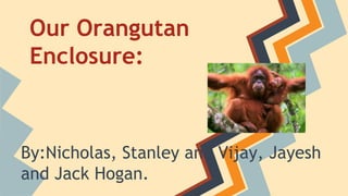 Our Orangutan
Enclosure:
By:Nicholas, Stanley and Vijay, Jayesh
and Jack Hogan.
 