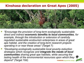 Linking great apes and poverty: the case of orangutans in Asia | PPT