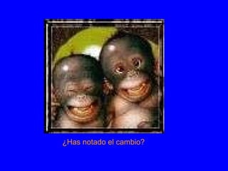 ¿Has notado el cambio? 