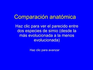 Comparación anatómica Haz clic para ver el parecido entre dos especies de simio (desde la más evolucionada a la menos evolucionada) Haz clic para avanzar 