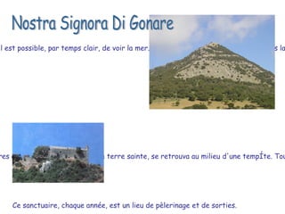 Dans la zone de Orani et de Sarule, s'élève le Monte Gonare. Sur le sommet où se dresse l'église il est possible, par temps clair, de voir la mer. Un chemin escarpé, parfois taillé dans la roche, conduit au sanctuaire, qui se dresse au sommet.  Au sommet de la montagne se trouve le sanctuaire. Selon un légende, le temple a été construit sur ​​la montagne par Gonario de Torres qui , lors de son retour de la terre sainte, se retrouva au milieu d'une temp ê te . Tout en priant la Madone il eut une vision: celle d'une montagne qui lui a permis de s'orienter  vers la terre ferme.  Nostra Signora Di Gonare Ce sanctuaire, chaque année, est un lieu de pèlerinage et de sorties.  