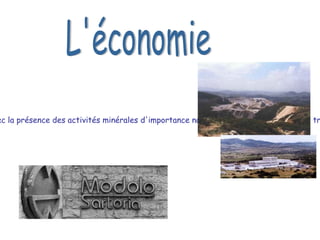 L'économie est caractérisée par de nombreuses activités allant de l'industrie, avec la présence des activités minérales d'importance nationale (talc et de feldspath), travail du fer et du fer forgé, du bois,  du velours.  L'économie 